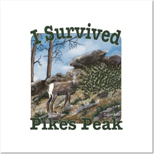 I Survived Pikes Peak, Bighorn Sheep Posters and Art